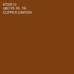 #7D3F10 - Copper Canyon Color Image