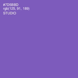 #7D5BBD - Studio Color Image