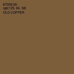 #7D5E3A - Old Copper Color Image