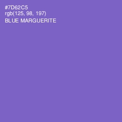 #7D62C5 - Blue Marguerite Color Image