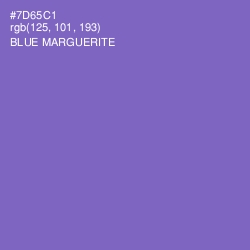 #7D65C1 - Blue Marguerite Color Image