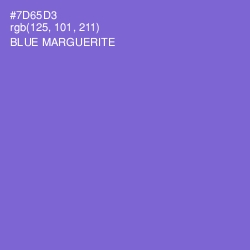 #7D65D3 - Blue Marguerite Color Image