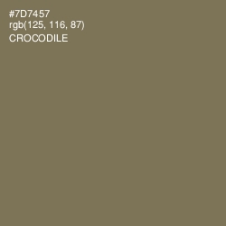 #7D7457 - Crocodile Color Image