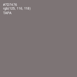 #7D7476 - Tapa Color Image