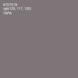 #7D7578 - Tapa Color Image