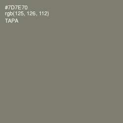#7D7E70 - Tapa Color Image