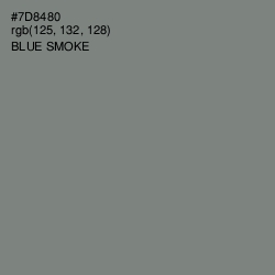 #7D8480 - Blue Smoke Color Image