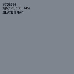 #7D8591 - Slate Gray Color Image