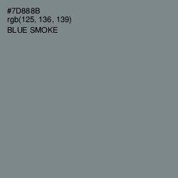 #7D888B - Blue Smoke Color Image