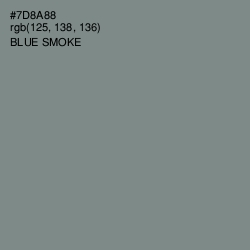 #7D8A88 - Blue Smoke Color Image