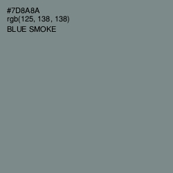 #7D8A8A - Blue Smoke Color Image