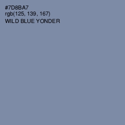 #7D8BA7 - Wild Blue Yonder Color Image