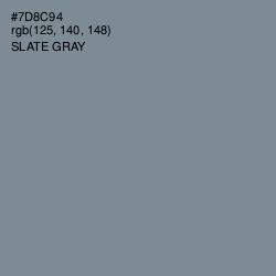 #7D8C94 - Slate Gray Color Image