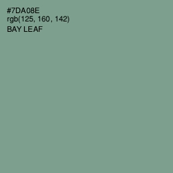 #7DA08E - Bay Leaf Color Image