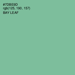 #7DBE9D - Bay Leaf Color Image