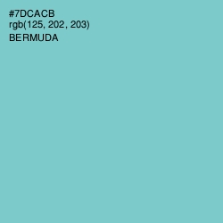 #7DCACB - Bermuda Color Image