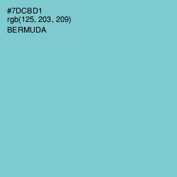 #7DCBD1 - Bermuda Color Image