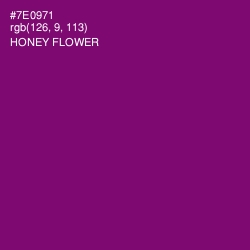 #7E0971 - Honey Flower Color Image