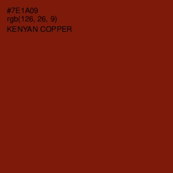 #7E1A09 - Kenyan Copper Color Image