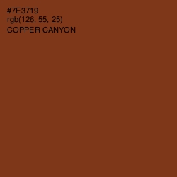 #7E3719 - Copper Canyon Color Image