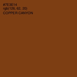 #7E3E14 - Copper Canyon Color Image