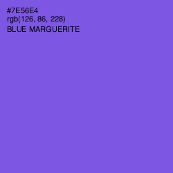 #7E56E4 - Blue Marguerite Color Image