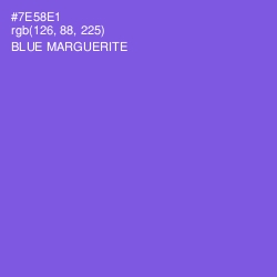 #7E58E1 - Blue Marguerite Color Image