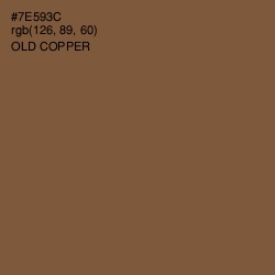 #7E593C - Old Copper Color Image