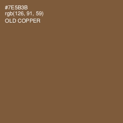 #7E5B3B - Old Copper Color Image