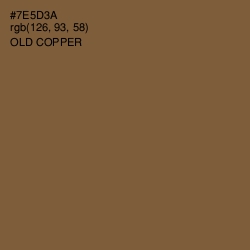 #7E5D3A - Old Copper Color Image