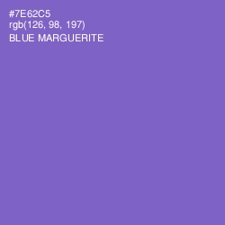 #7E62C5 - Blue Marguerite Color Image