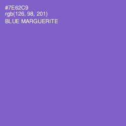 #7E62C9 - Blue Marguerite Color Image