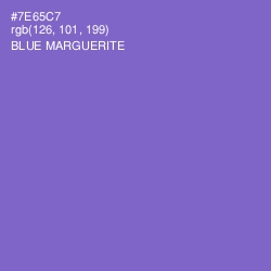 #7E65C7 - Blue Marguerite Color Image