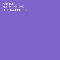 #7E65CB - Blue Marguerite Color Image