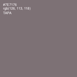 #7E7176 - Tapa Color Image