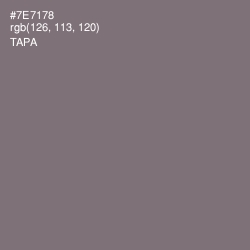 #7E7178 - Tapa Color Image