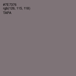 #7E7376 - Tapa Color Image