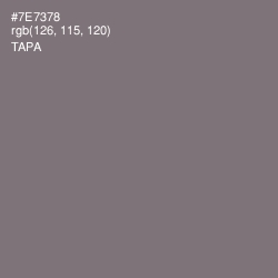 #7E7378 - Tapa Color Image