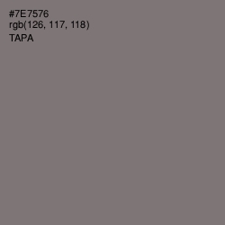 #7E7576 - Tapa Color Image