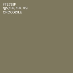 #7E785F - Crocodile Color Image