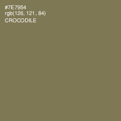 #7E7954 - Crocodile Color Image