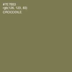#7E7B53 - Crocodile Color Image