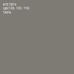 #7E7B74 - Tapa Color Image