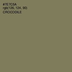 #7E7C5A - Crocodile Color Image