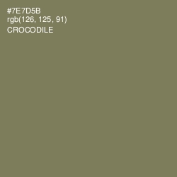 #7E7D5B - Crocodile Color Image