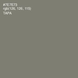 #7E7E73 - Tapa Color Image