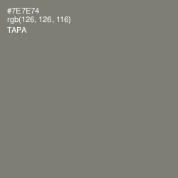 #7E7E74 - Tapa Color Image