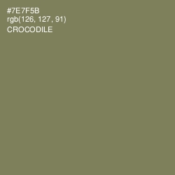 #7E7F5B - Crocodile Color Image