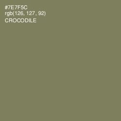#7E7F5C - Crocodile Color Image