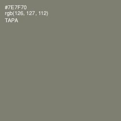 #7E7F70 - Tapa Color Image